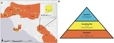 The effect of urban environments on the diversity of plants in unmanaged grasslands in Los Angeles, United States